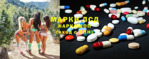 прущие грибы Болхов