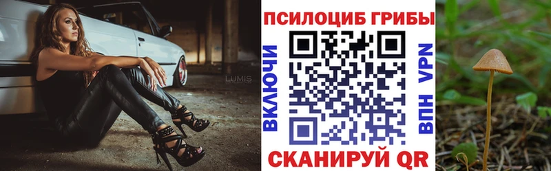 Галлюциногенные грибы MAGIC MUSHROOMS  Вытегра 