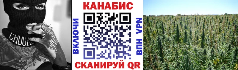 МАРИХУАНА тримм  даркнет сайт  Вытегра 
